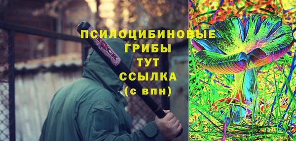 спиды Майский