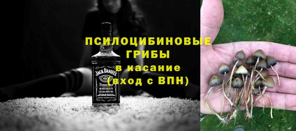 спиды Майский