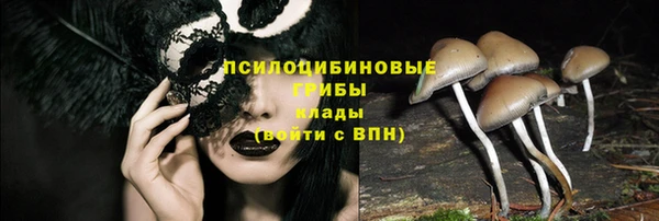 марки lsd Мегион