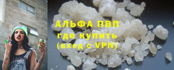 прущие грибы Медвежьегорск