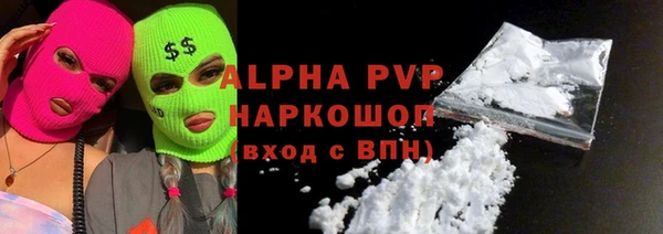 прущие грибы Медвежьегорск