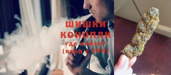PSILOCYBIN Липки