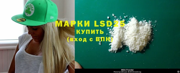прущие грибы Медвежьегорск