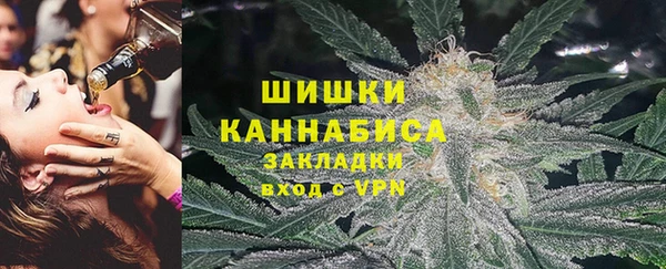 индика Магадан