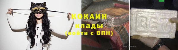 прущие грибы Медвежьегорск
