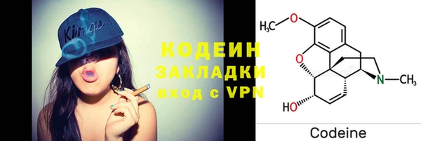 прущие грибы Медвежьегорск
