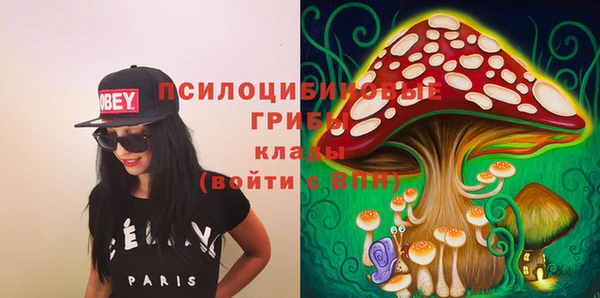 прущие грибы Медвежьегорск