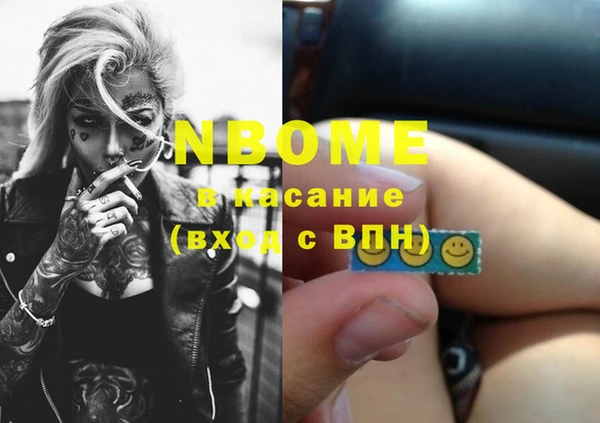 стаф Медногорск