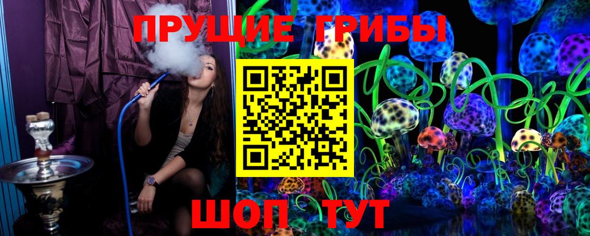 Псилоцибиновые грибы MAGIC MUSHROOMS  Вход с VPN  Усть-Илимск  Псилоцибиновые грибы мицелий 