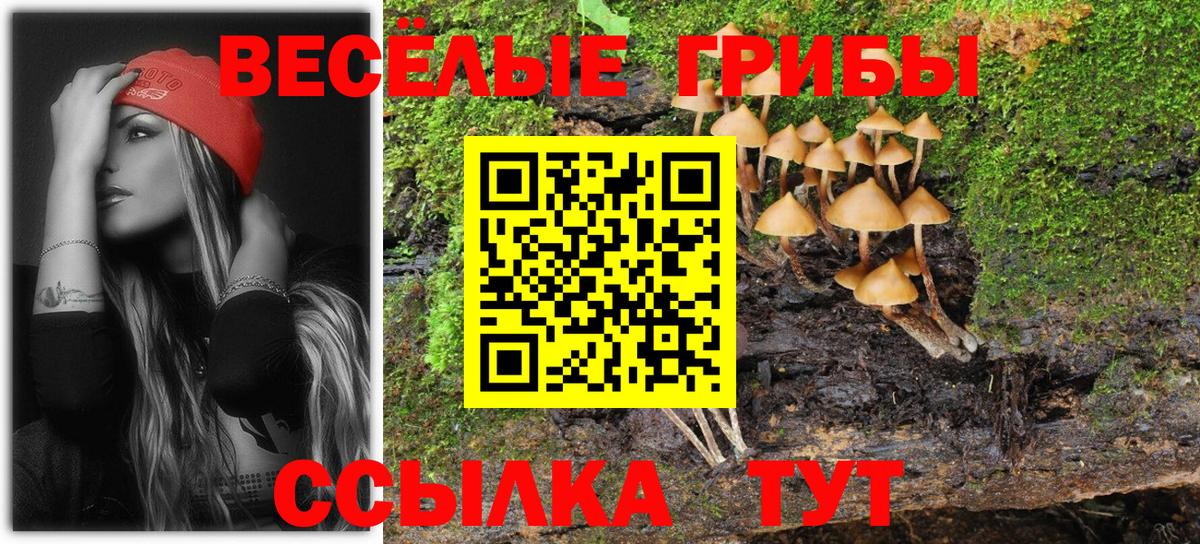 Галлюциногенные грибы Cubensis  Псилоцибиновые грибы Psilocybine cubensis  Усть-Илимск 