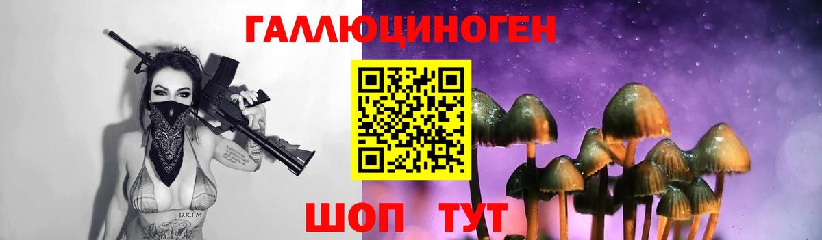 Псилоцибиновые грибы Psilocybe Усть-Илимск